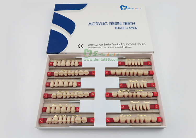SA31 Synthetic Resin Teeth Three Layer